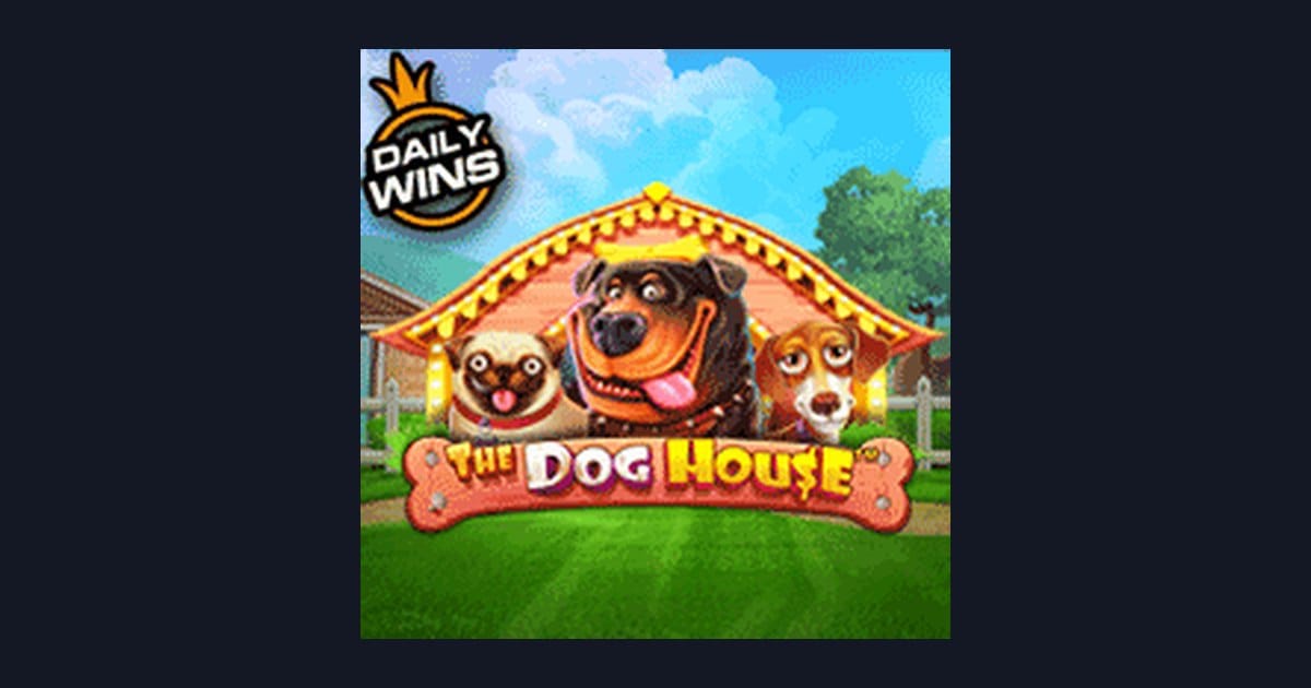 Rahasia Menang The Dog House: Tips Ampuh untuk Pemula Slot Online